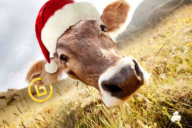 weihnachtsmenue 2017.jpg